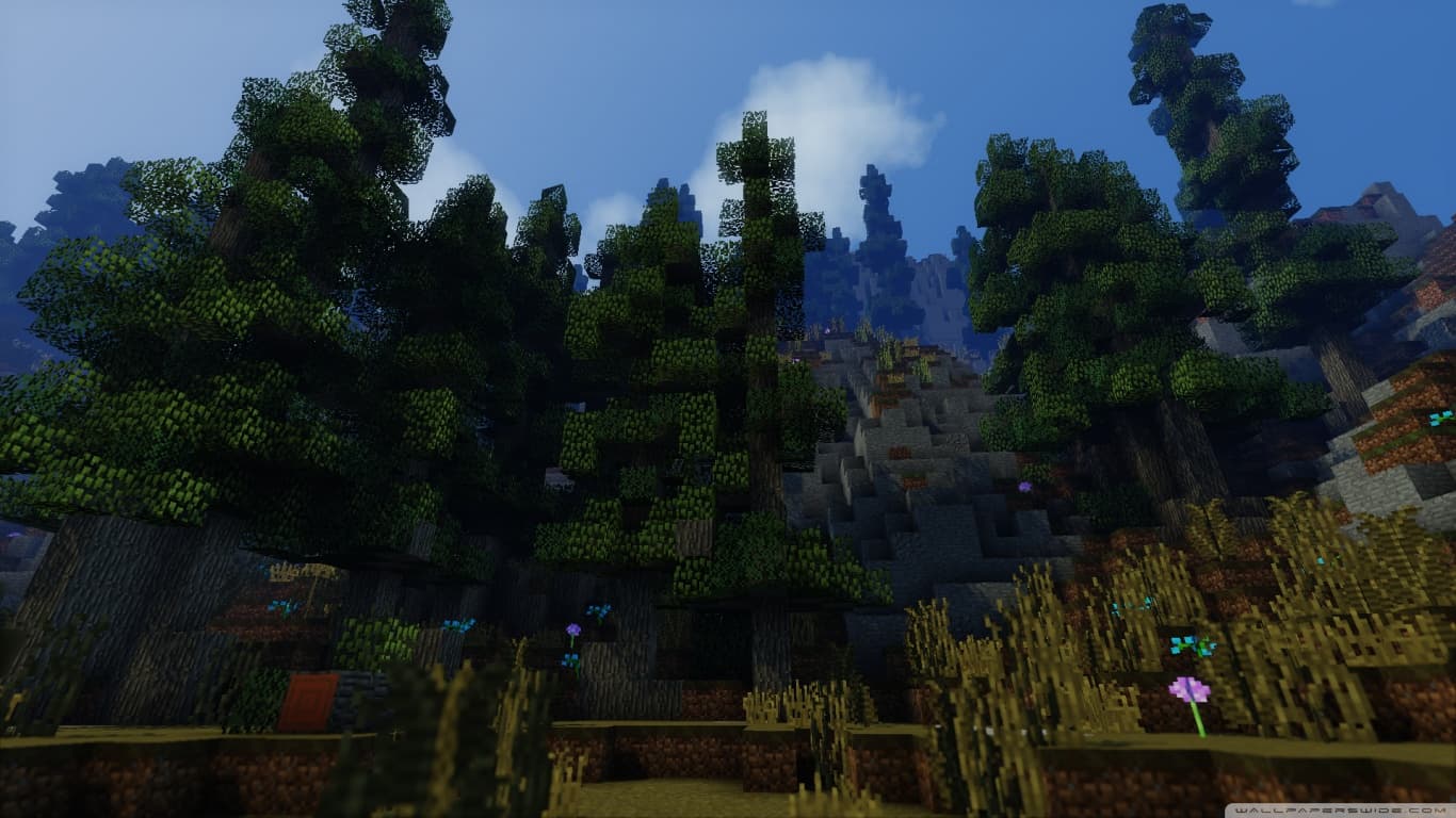 Gerçek topluluk hissi